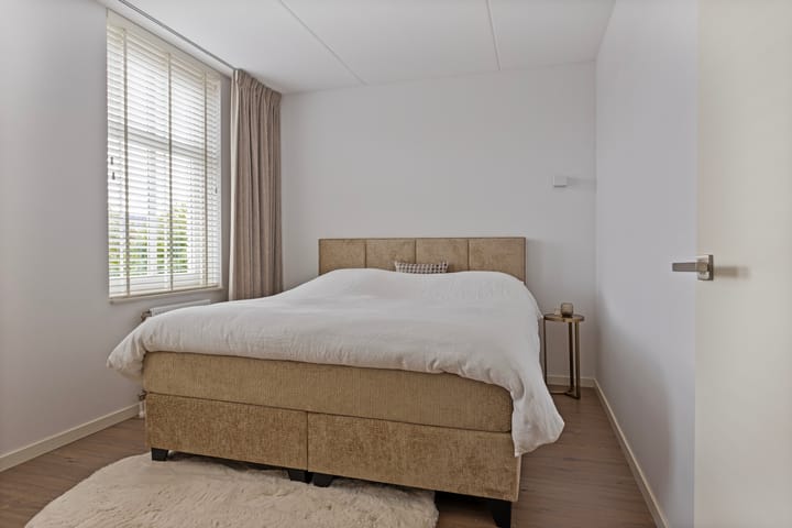 Foto 33 van Zilverschat 28