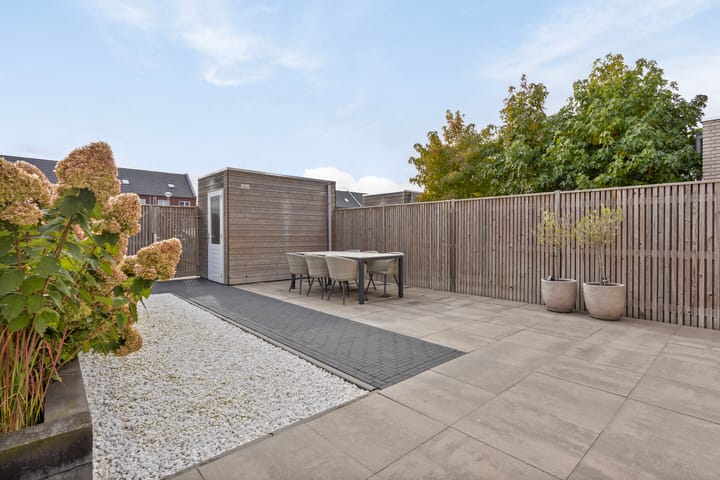 Foto 52 van Zilverschat 28