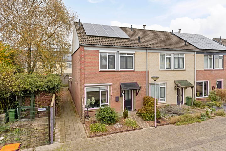 Foto 6 van Paulus Potterstraat 16