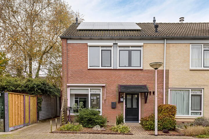 Foto 9 van Paulus Potterstraat 16