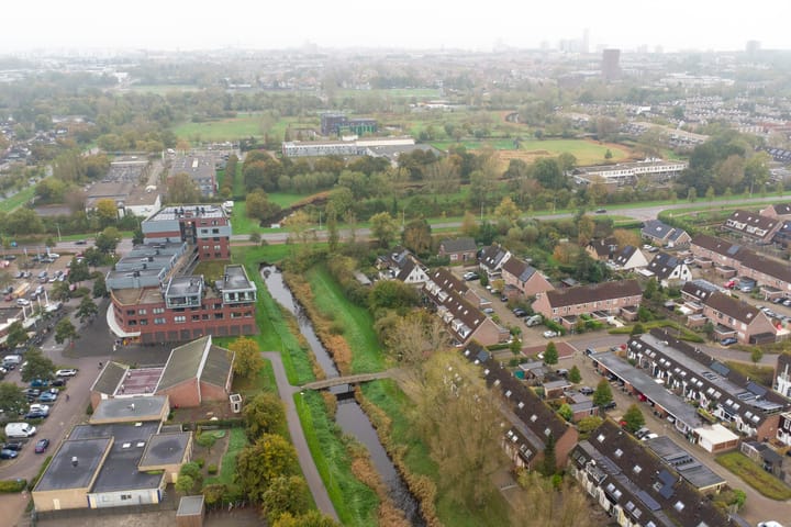 Foto 3 van Kanariesprenk 435