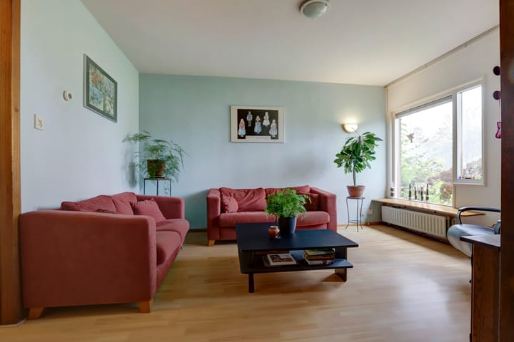 Foto 4 van Kanariesprenk 435