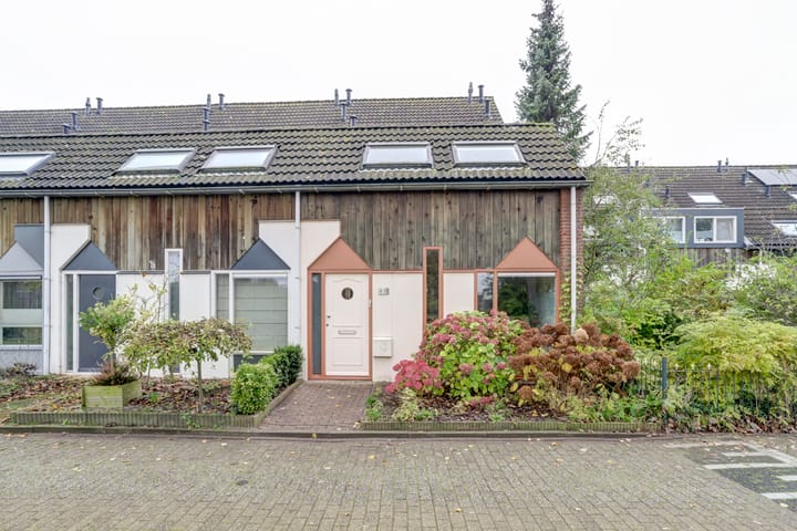 Foto 5 van Kanariesprenk 435