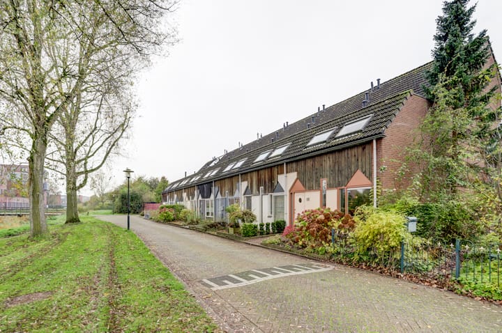 Foto 6 van Kanariesprenk 435