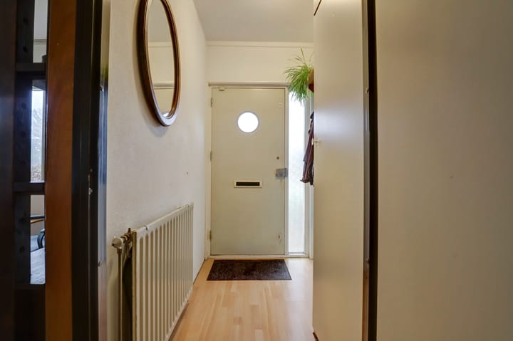 Foto 8 van Kanariesprenk 435