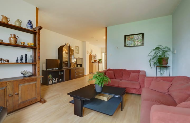 Foto 11 van Kanariesprenk 435