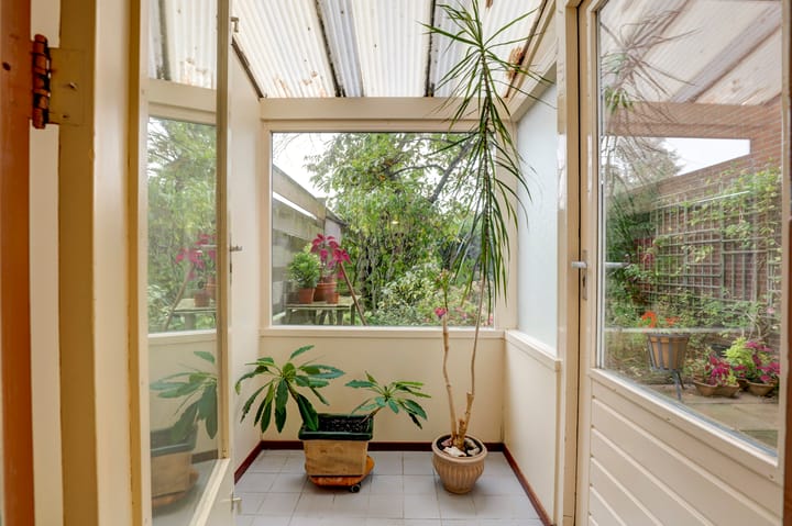 Foto 15 van Kanariesprenk 435