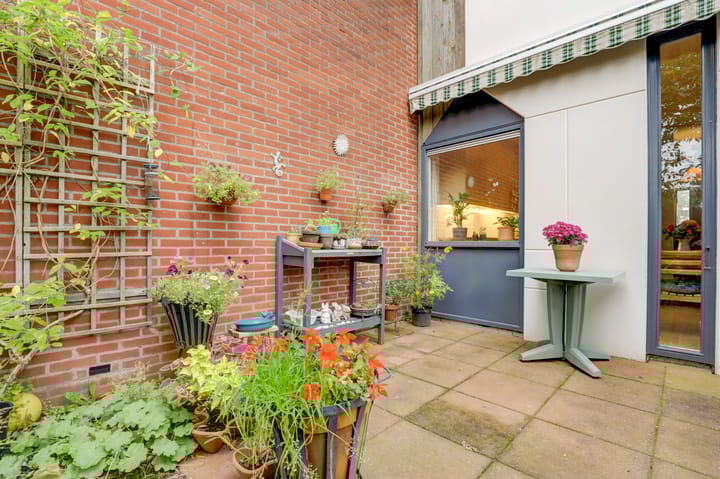 Foto 16 van Kanariesprenk 435