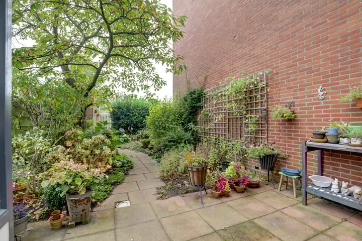 Foto 17 van Kanariesprenk 435