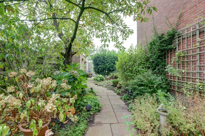 Foto 19 van Kanariesprenk 435