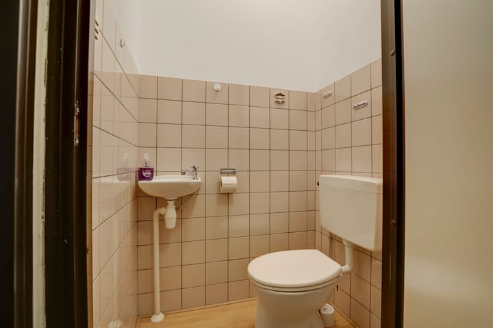 Foto 20 van Kanariesprenk 435