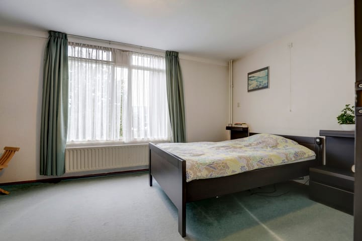 Foto 23 van Kanariesprenk 435