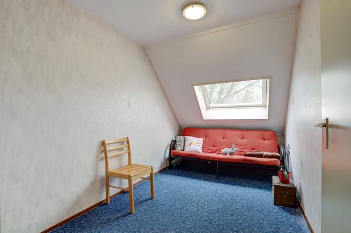 Foto 26 van Kanariesprenk 435