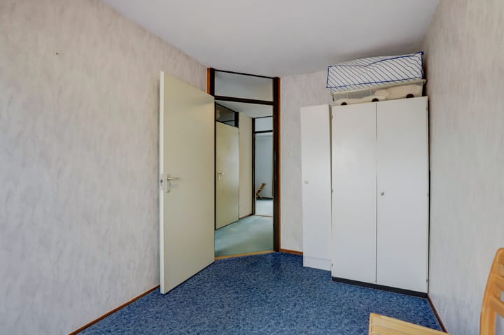 Foto 27 van Kanariesprenk 435