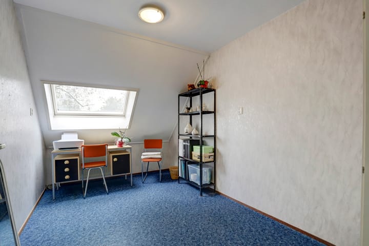 Foto 28 van Kanariesprenk 435