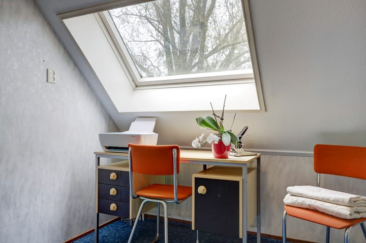 Foto 29 van Kanariesprenk 435