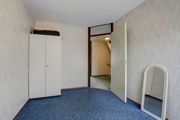 Foto 30 van Kanariesprenk 435