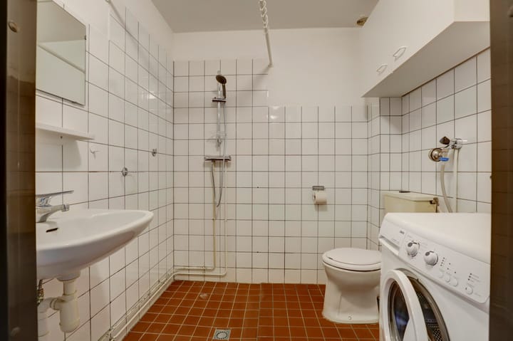 Foto 31 van Kanariesprenk 435