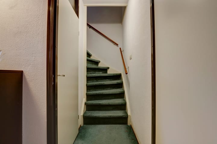 Foto 32 van Kanariesprenk 435