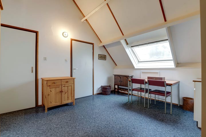 Foto 33 van Kanariesprenk 435