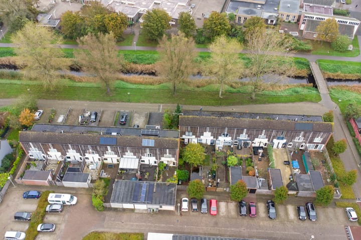 Foto 35 van Kanariesprenk 435