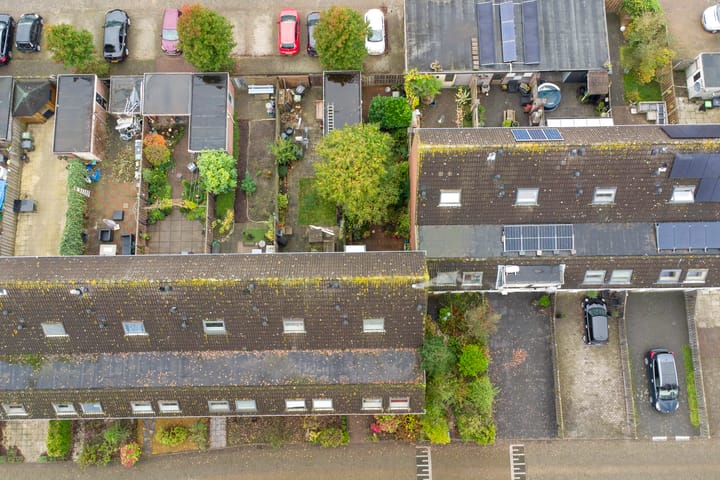 Foto 36 van Kanariesprenk 435