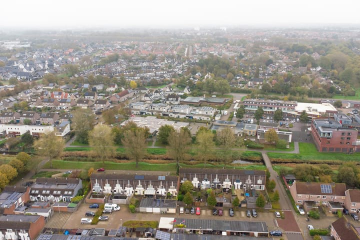 Foto 37 van Kanariesprenk 435