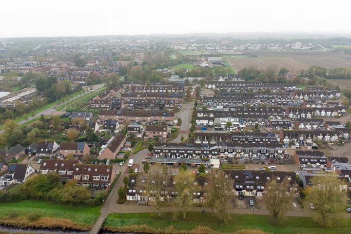 Foto 38 van Kanariesprenk 435