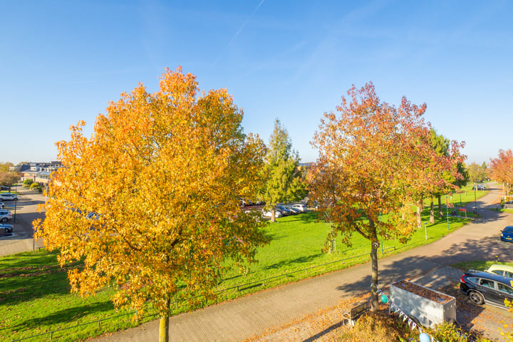 Bekijk foto 34 van Kruisvaardersland 46