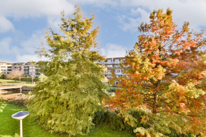 Foto 12 van Kotterspad 34