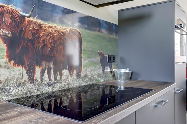 Photo 8 of Lambertus van der Meerstraat 6