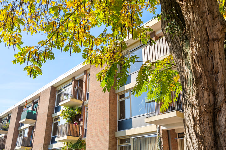 Foto 28 van Van 't Hoffstraat 31-II