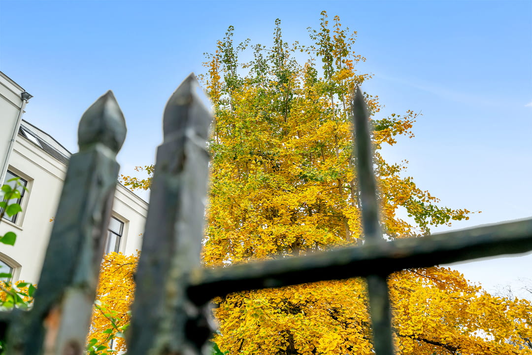 Foto 32 van Mgr. van de Weteringstraat 120