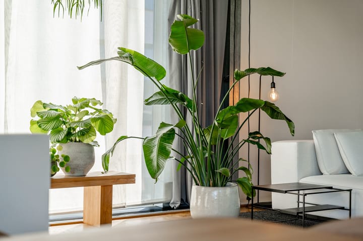 Photo 25 of Neerveldstraat 1B