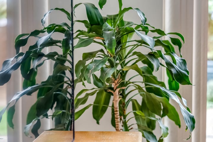 Foto 11 van Eindhovensingel 286