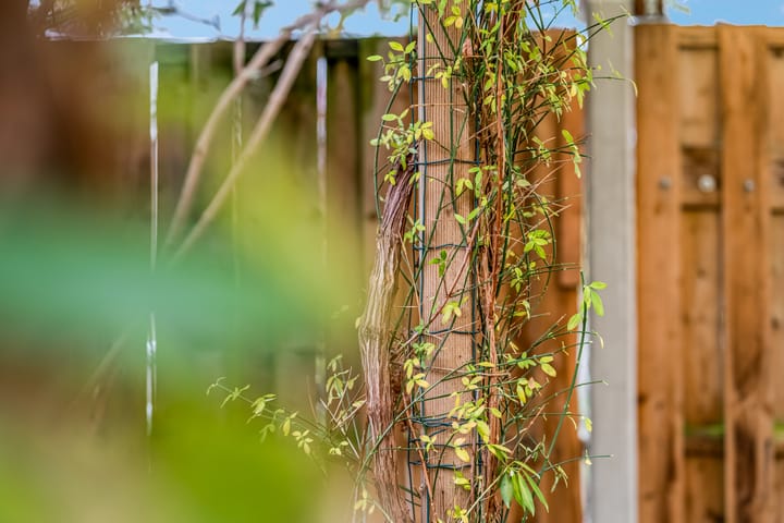 Foto 28 van Eindhovensingel 286