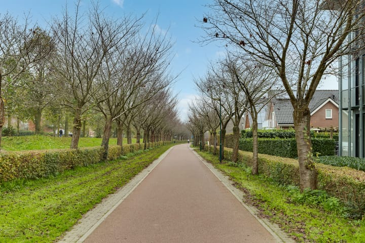 Foto 49 van Centraalspoor 3