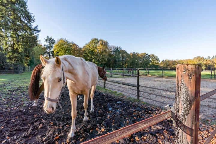 View photo 75 of Zwolseweg 86