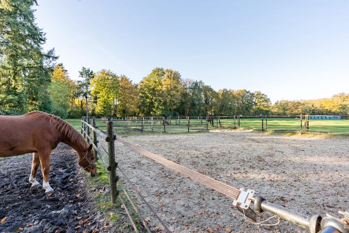 Foto 76 van Zwolseweg 86