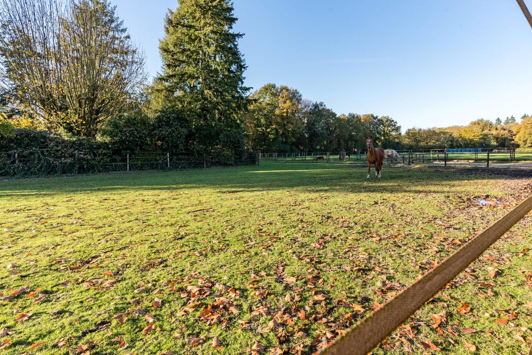 Photo 77 of Zwolseweg 86