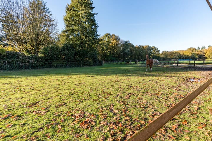 Foto 77 van Zwolseweg 86