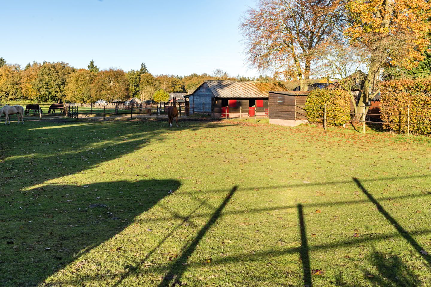 Photo 89 of Zwolseweg 86