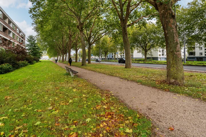 Foto 11 van Plotinusstraat 43