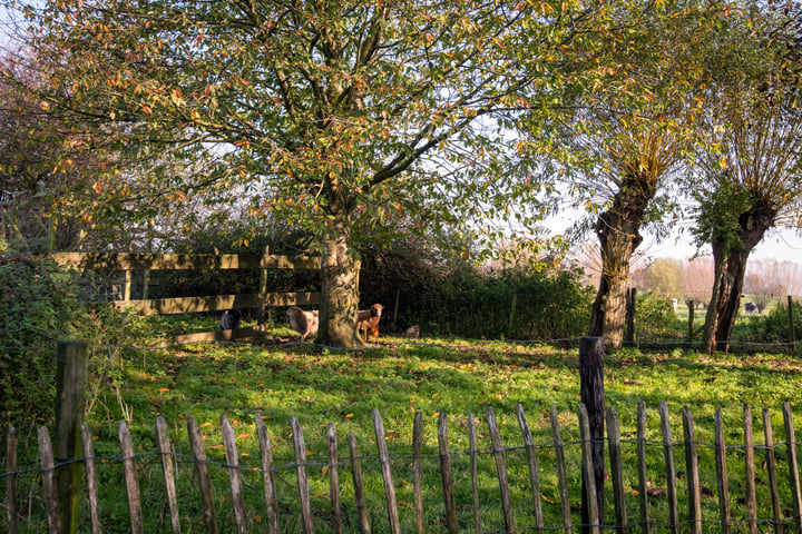 View photo 43 of Looveerweg 3