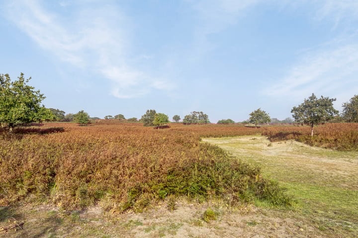 Foto 4 van Zilkerduinweg 102