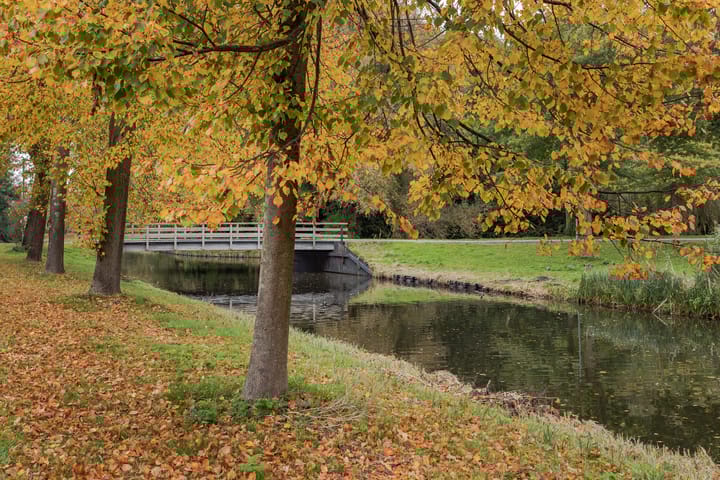 Foto 29 van Ceder 31