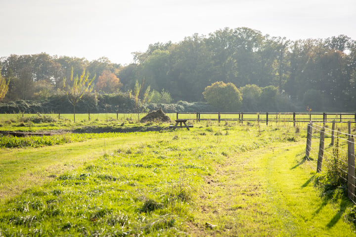 Bekijk foto 47 van Emperweg 23