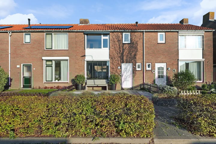 undefined main image