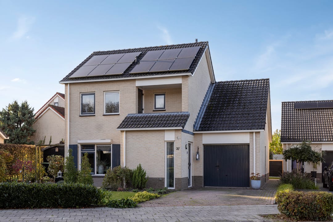 Photo 1 of Anemoon 37