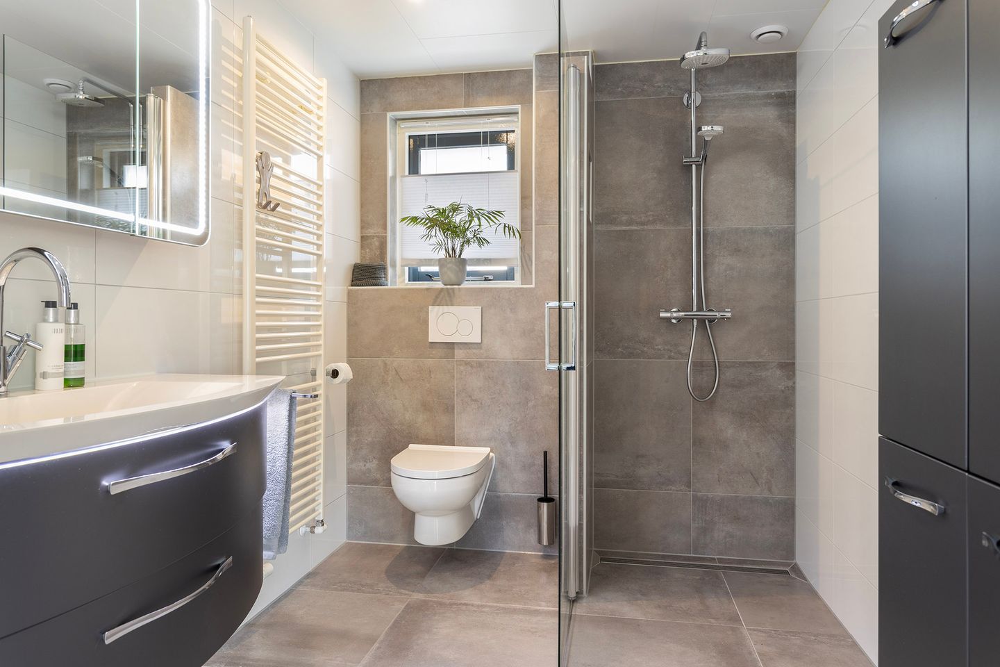 Photo 5 of Anemoon 37